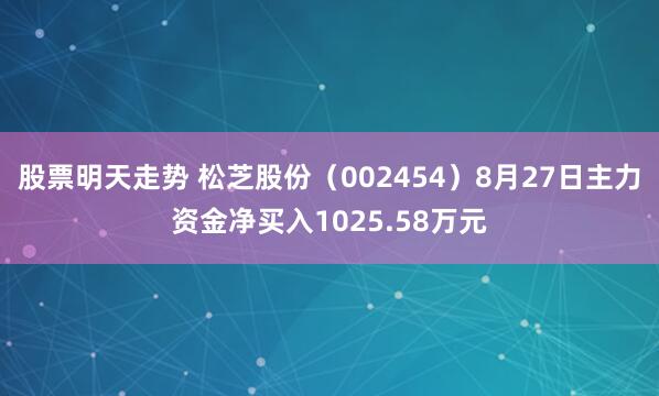 股票明天走势 松芝股份（002454）8月27日主力资金净买入1025.58万元